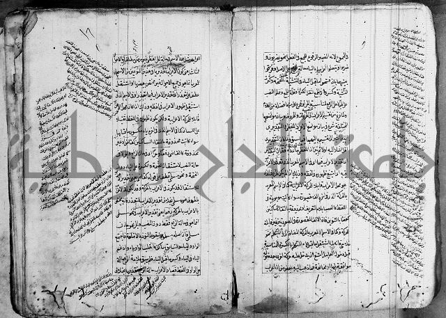 فوائد على الكافية 