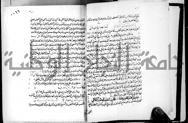 البحر الفائض في شرح ديوان ابن الفارض البوريني 