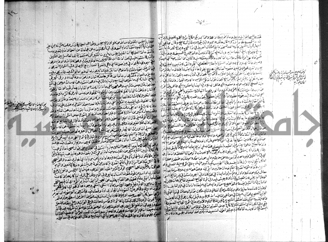 تنوير الابصار 