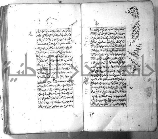 شرح الشافية 