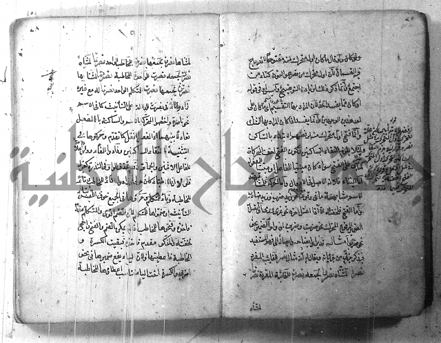 التفنن في الصرف
