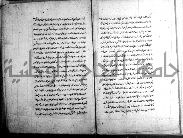 حاوي مسايل المنيه