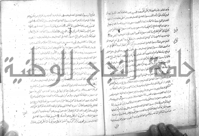 صحيح مسلم ج 2 