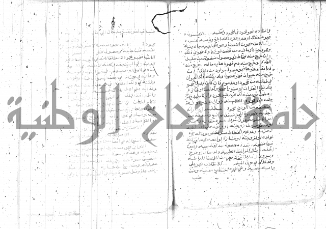 التعريفات الهامة