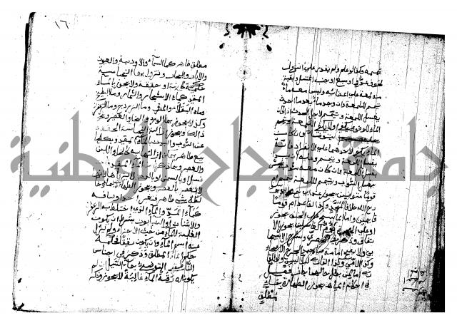 منية المصلي للنصراوي