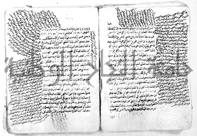 فتح القريب