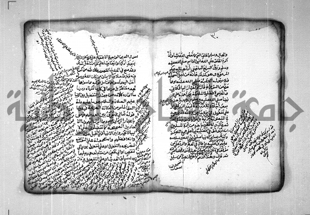 شرح الهمزية  