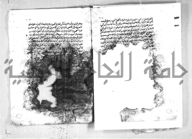 الهدهدي 