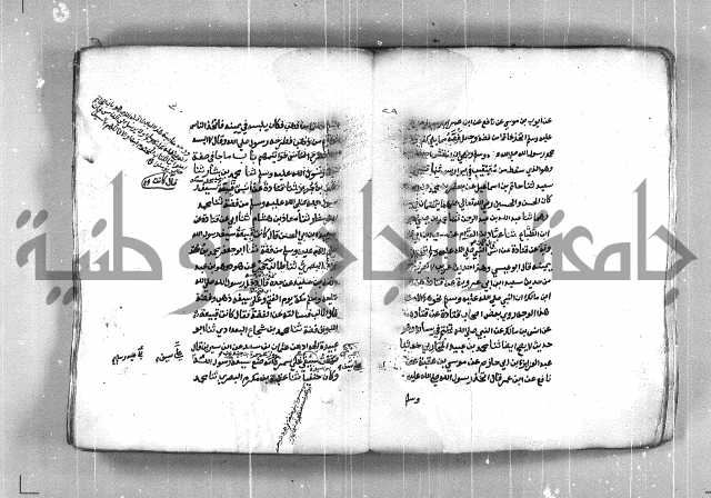 شمايل المصطفى 