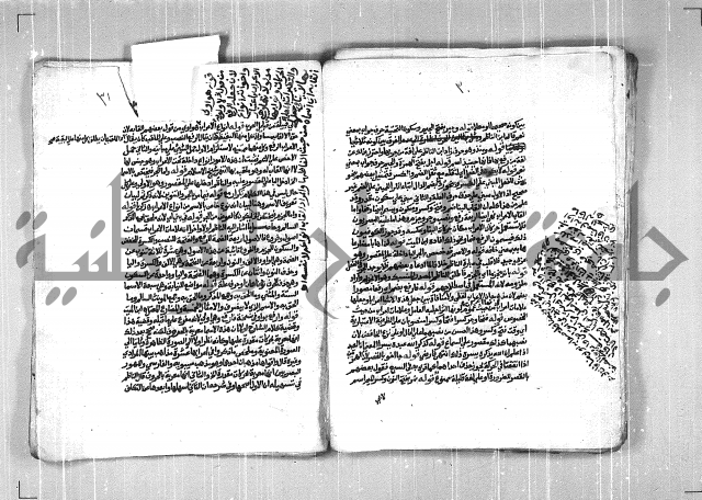 فتح الجليل  على شرح ابن عقيل 