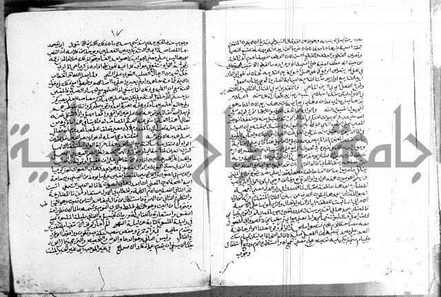 كتاب في اللغة العربية