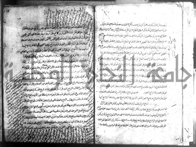 منية الفتى 