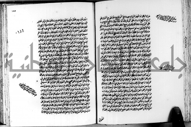 الجواهر الدورية في تنقيح الفتاوى الحامدية ج2 