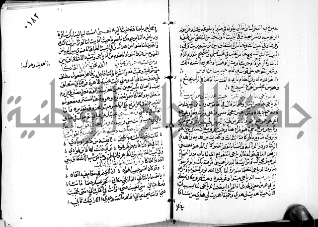 البحر الفائض في شرح ديوان ابن الفارض البوريني 