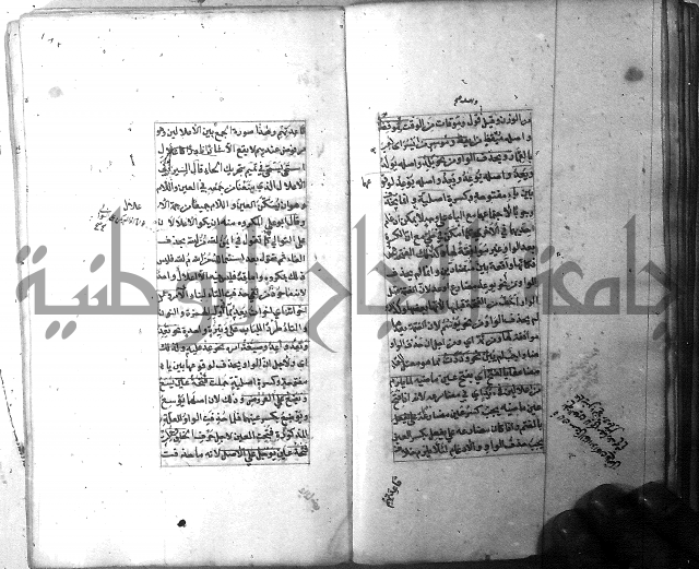 شرح الشافية 