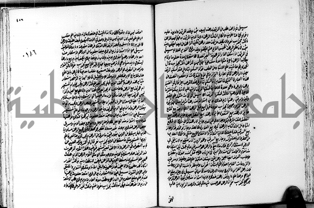 الجواهر الدورية في تنقيح الفتاوى الحامدية ج2 