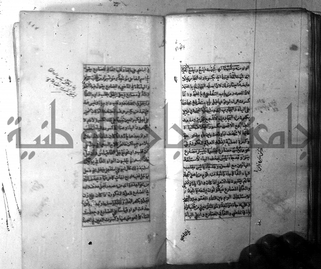 شرح الشافية 