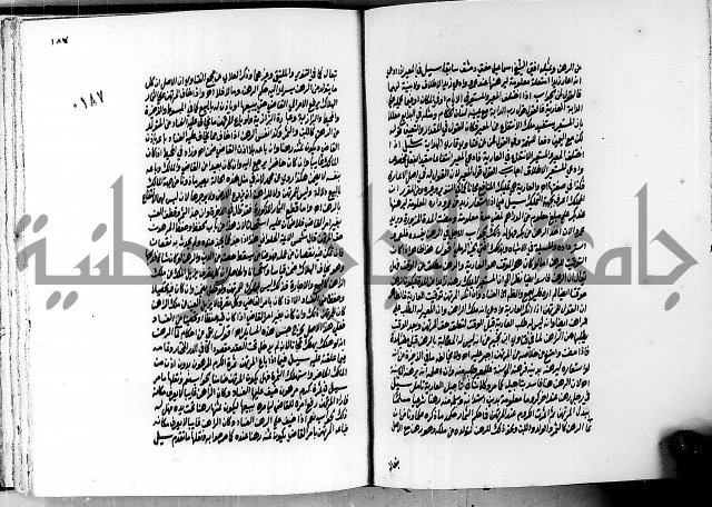 الجواهر الدورية في تنقيح الفتاوى الحامدية ج2 