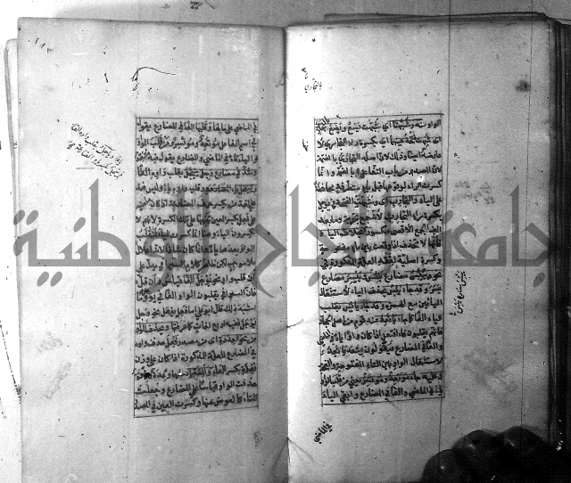 شرح الشافية 