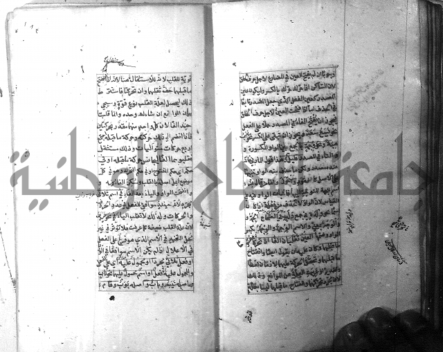 شرح الشافية 