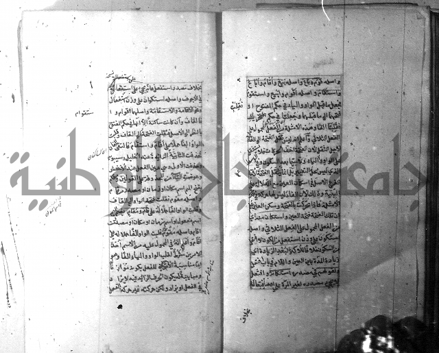 شرح الشافية 