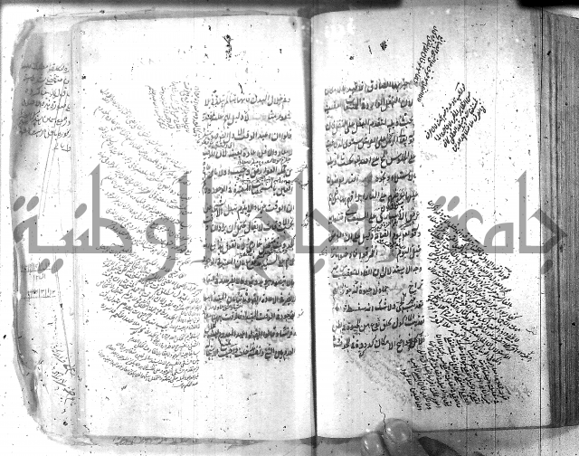 شرح عقائد النسفية