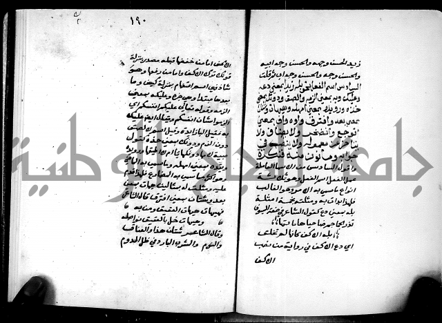 شرح شذور الذهب في معرفة كلام العرب 