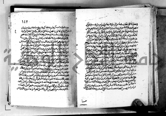 الجزء الثاني من تفسير الجلالين للمحلي