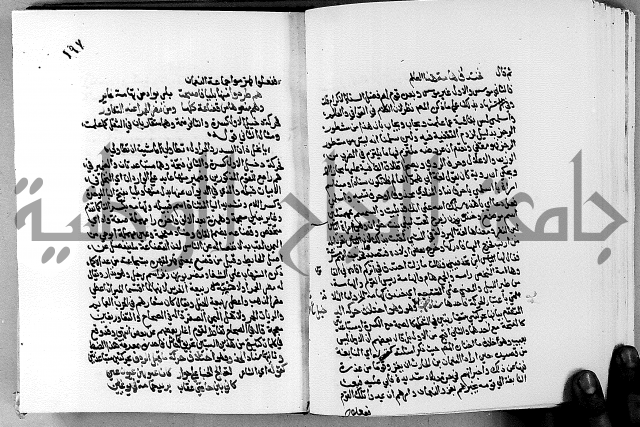 مختصر حاشية القهوتي 