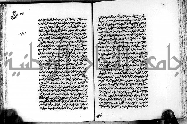 الجواهر الدورية في تنقيح الفتاوى الحامدية ج2 