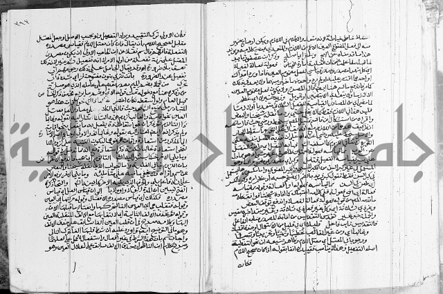 كتاب في اللغة