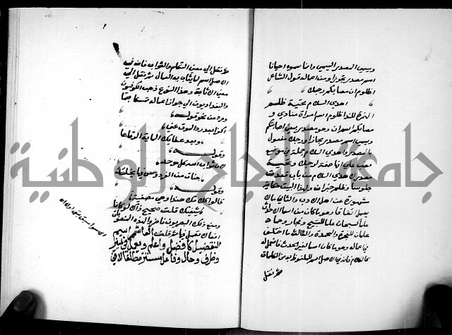 شرح شذور الذهب في معرفة كلام العرب 