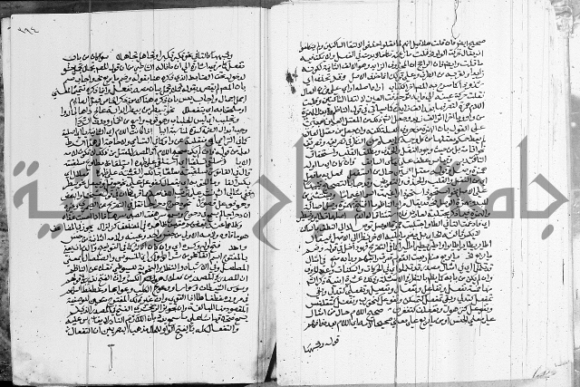 كتاب في اللغة