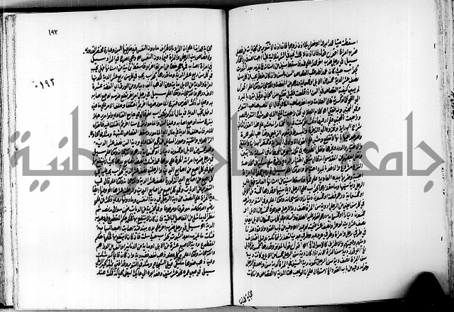 الجواهر الدورية في تنقيح الفتاوى الحامدية ج2 