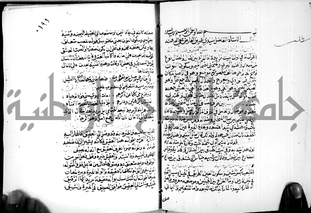 البحر الفائض في شرح ديوان ابن الفارض البوريني 