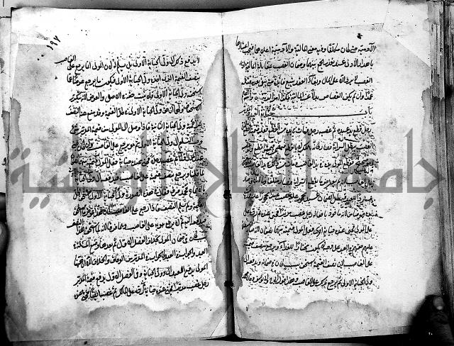 مذهب ابي حنيفة في الفقة