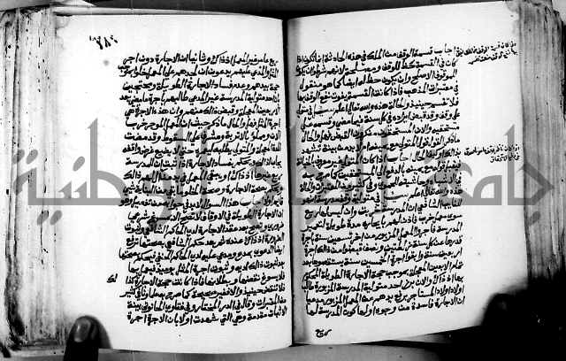 فتاوى احمد زائد الغزي 