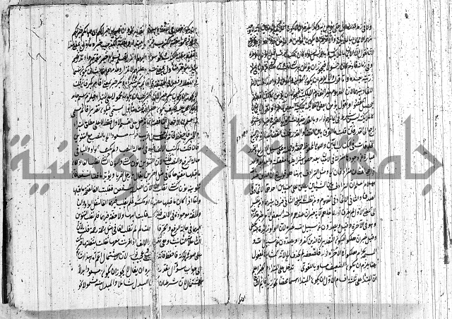 حاشية على شرح ديباجة المصباح 