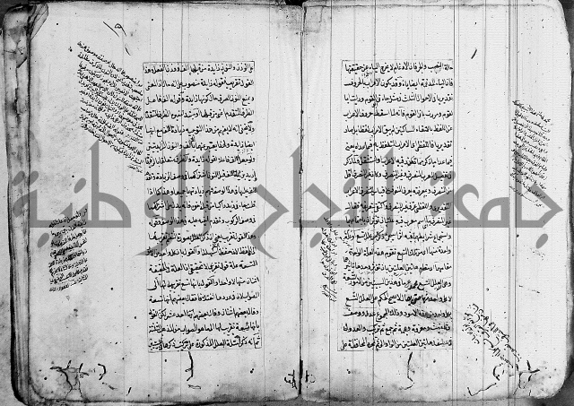 فوائد على الكافية 