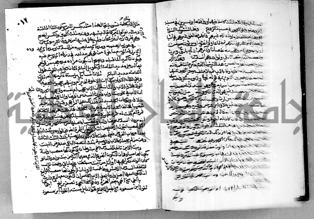 مختصر حاشية القهوتي 