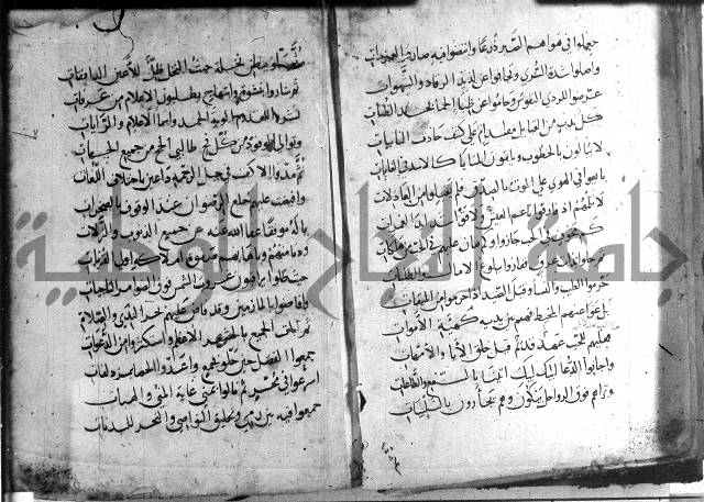 ديوان الصرصري