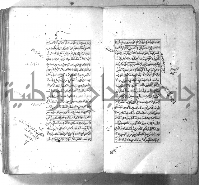 شرح الشافية 