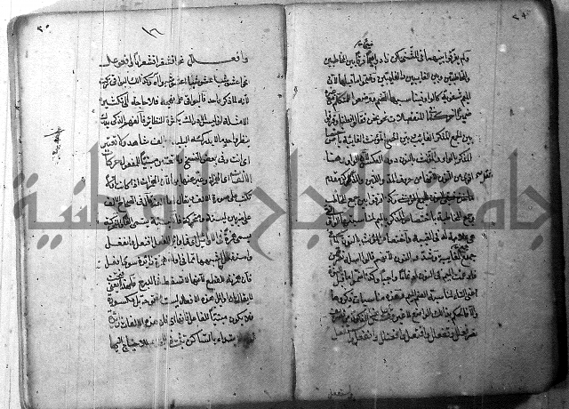 التفنن في الصرف