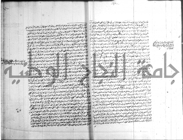 تنوير الابصار 