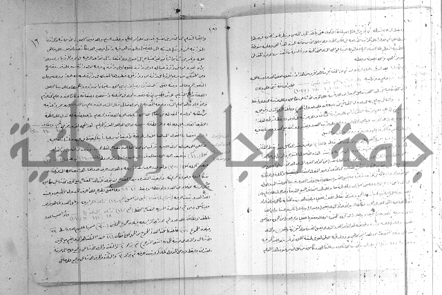 اصول معرفة النسب