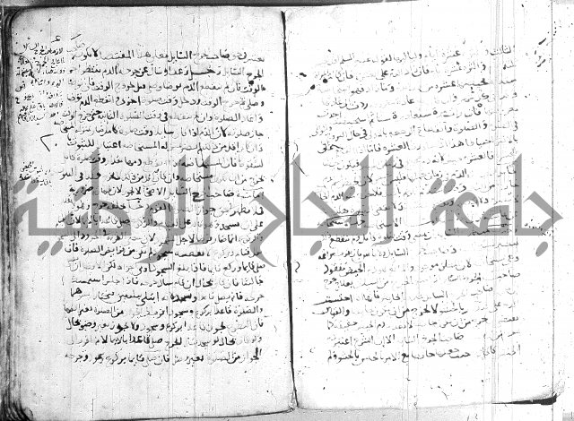 الفتاوى الولوالجية  