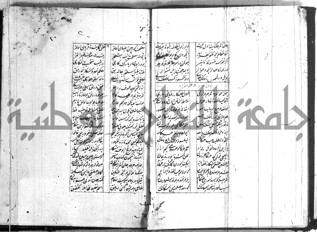 نظم تركي