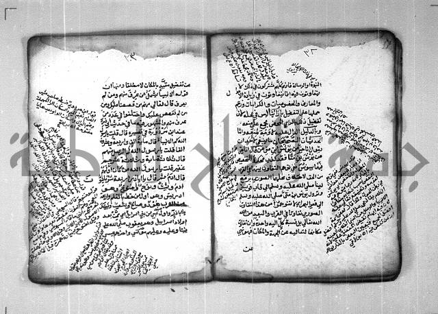 شرح الهمزية  