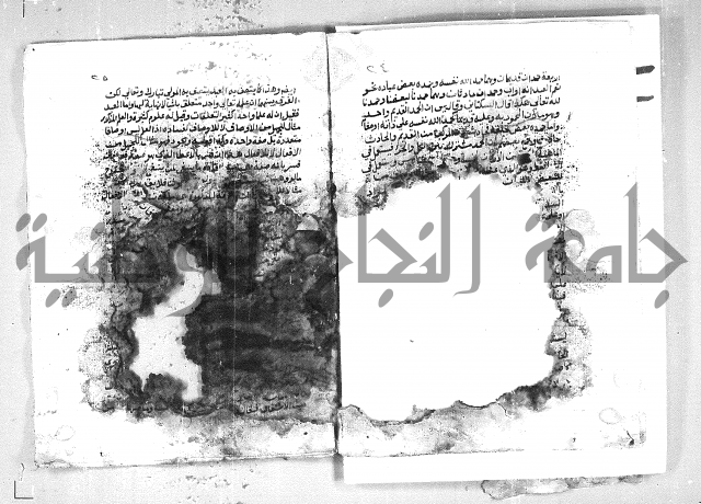 الهدهدي 