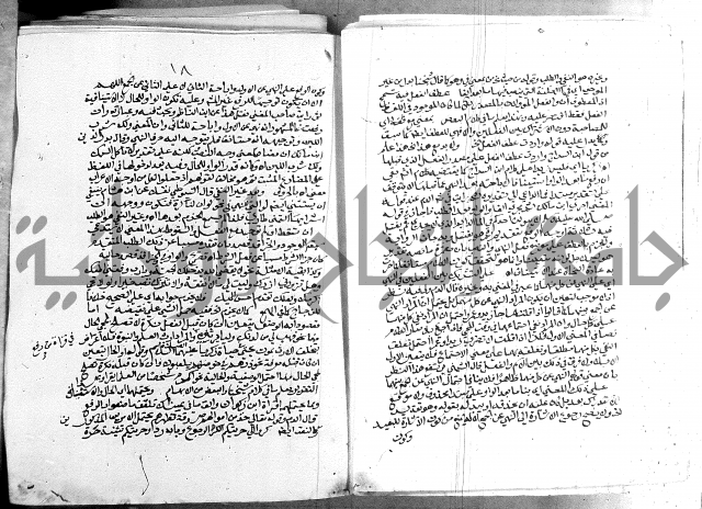 كتاب في اللغة العربية